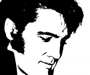 Elvis Bar